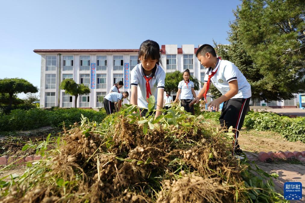 足球现金盘